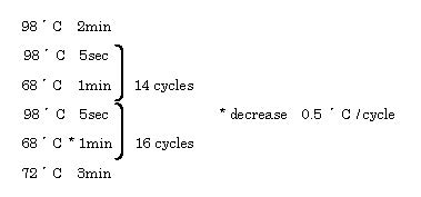 02-013-5_result2.jpg