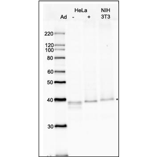 70-011_fig1.png