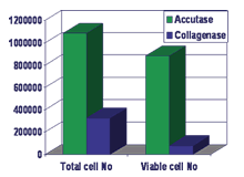 Accutase-F2.png