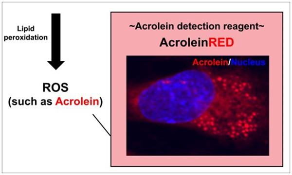 AcroleinRED-0.png