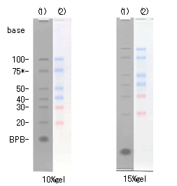 DM253_Fig3.gif