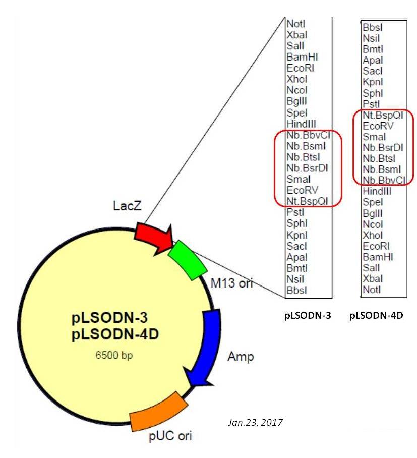DS610_fig2.jpg