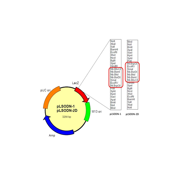 DS610_fig2.png