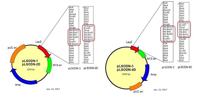 DS615_Fig2.jpg