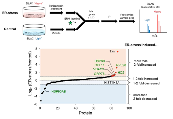 ER-Protein_Capture_Kit-F6.png