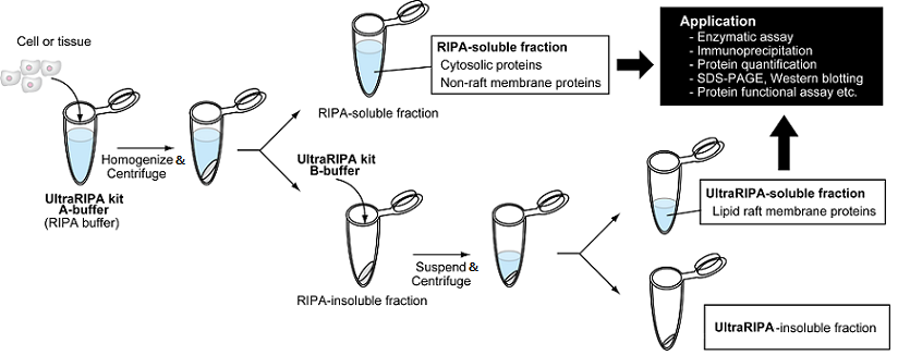 F015_fig2.jpg