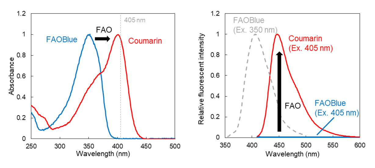 FAO_Blue-F4.png