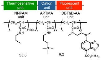 FDV-0004_Fig2.jpg