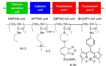 FDV-0005_Fig1.jpg