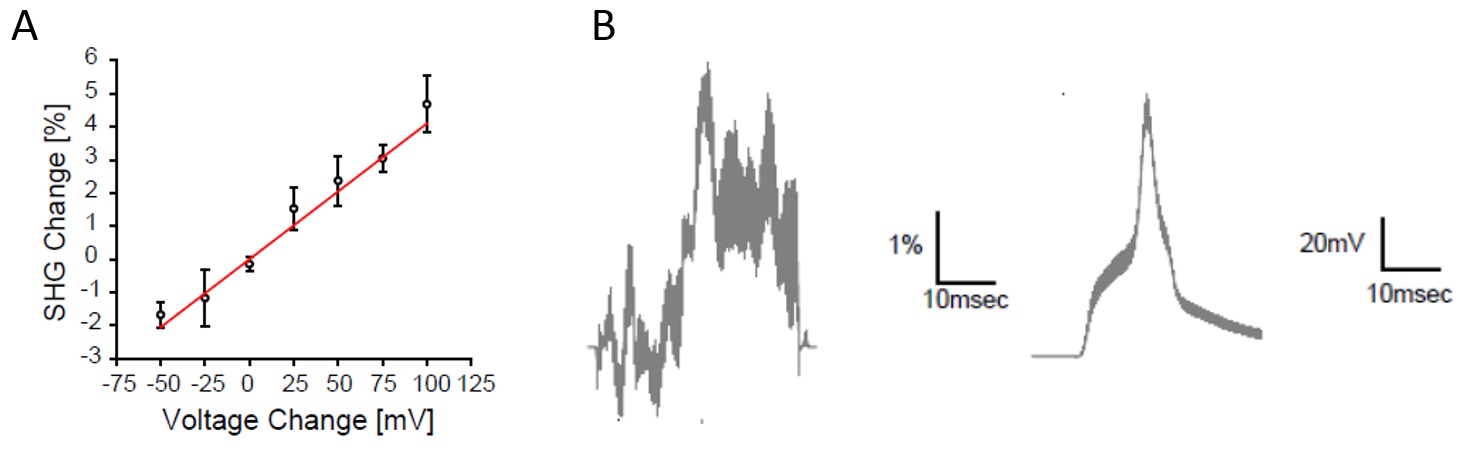 FDV-0008_fig2.jpg