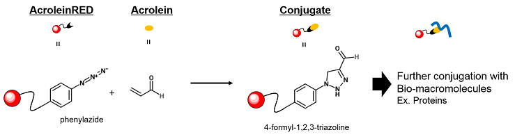 FDV-0022_fig3.png