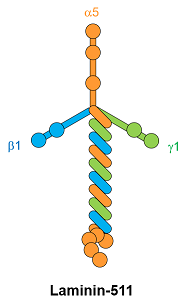 FDV-0023_fig2.png