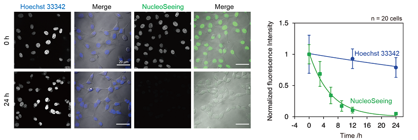 FDV-0029_fig3.png