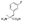 FN-JJIBA