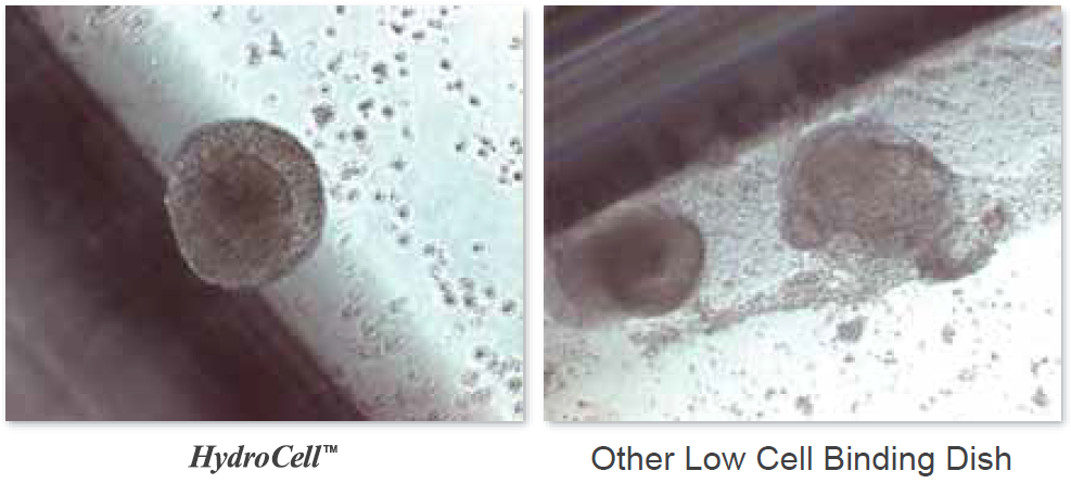 Hydrocell-F7.png
