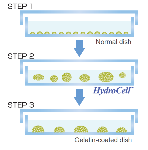 Hydrocell-F8.png