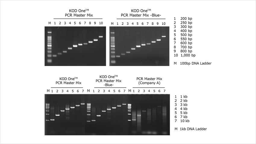 KMM-201_example1_1.png