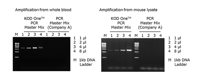 KMM-201_example5.png