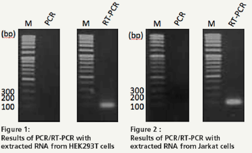 KN-T110004_fig1.png