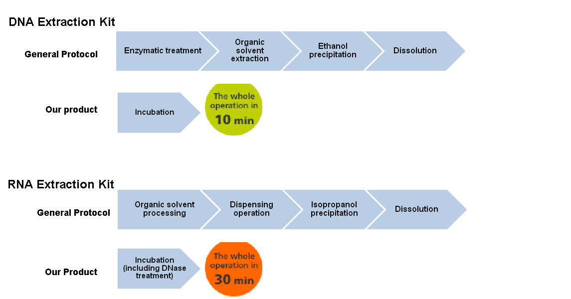 KN-T110004_fig3.png
