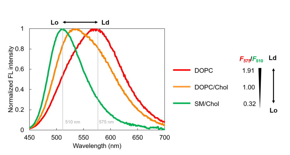 LipiORDER-F3.png