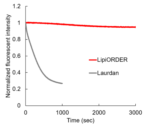 LipiORDER-F8.png