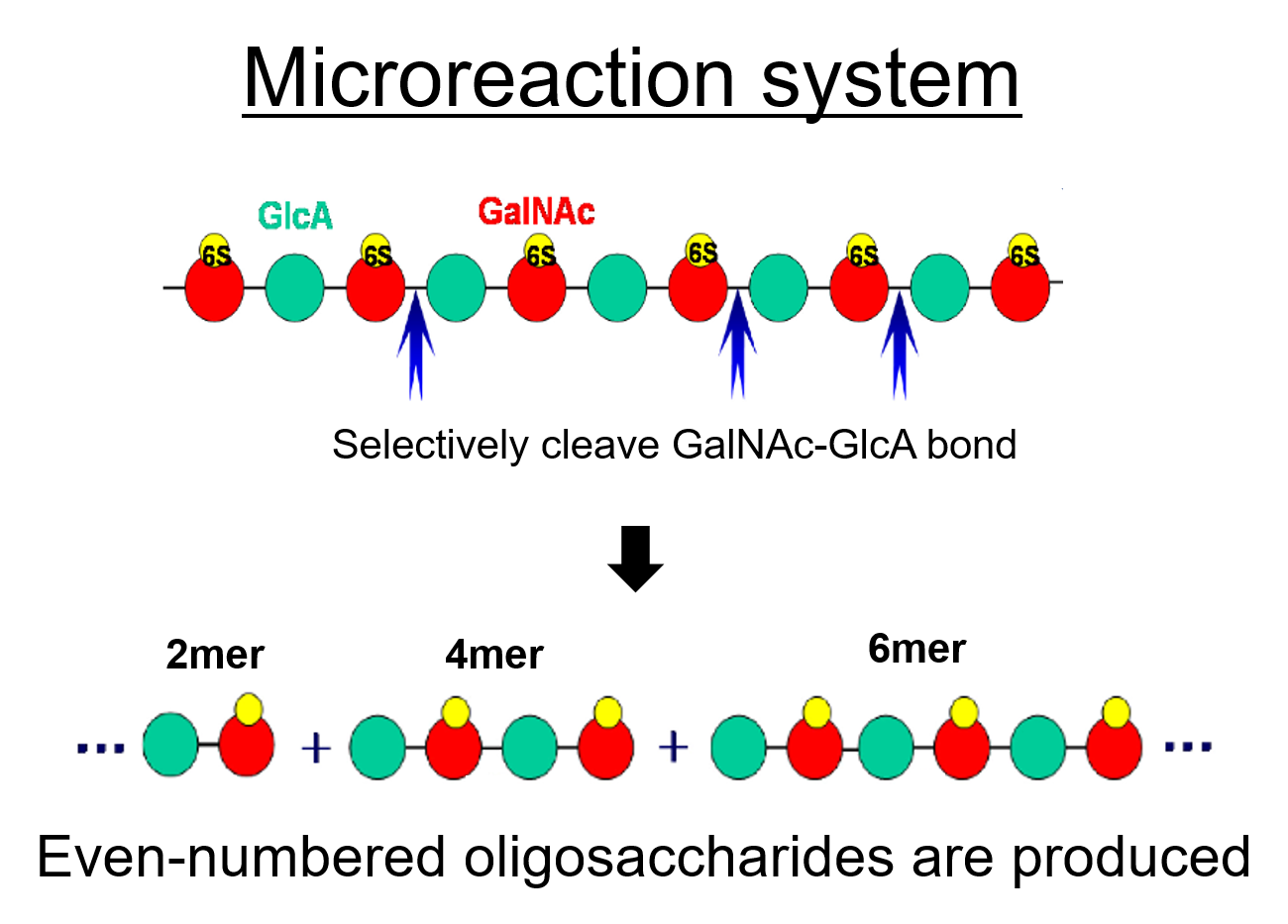 MBF-95009-microreaction.png