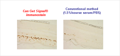 NKB-4-5-6_example1.png