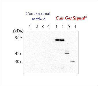 NKB_example2.png