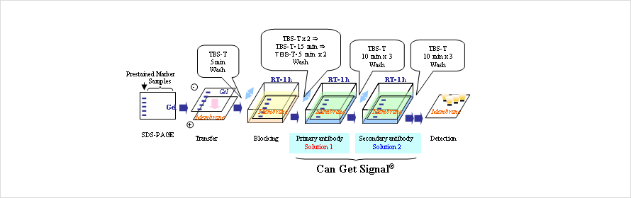 NKB_typical1.png
