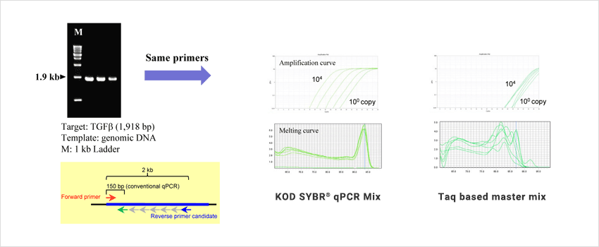 QKD-201_Exampl1_2.png