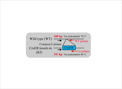 QKD-201_Exampl2_2.png
