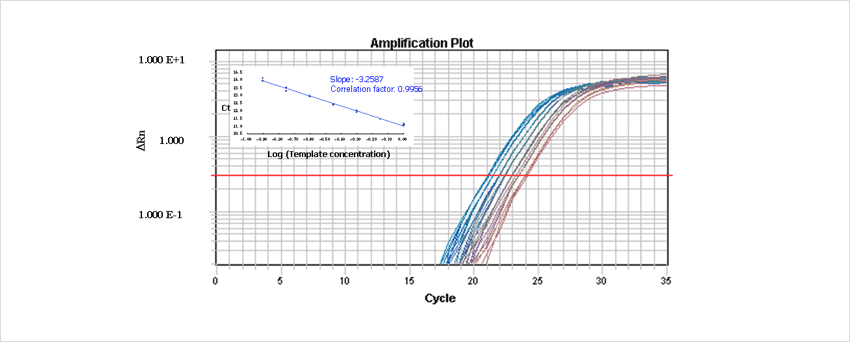 QPS-101_example3.png
