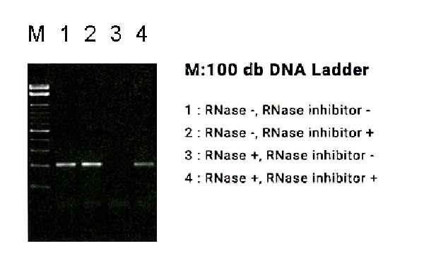 SIN-201_fig1