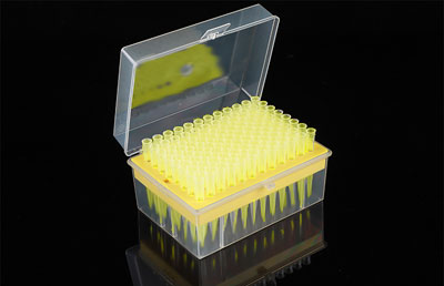 Yellow_302116.jpg