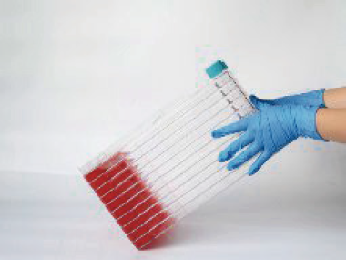 biofactoryFIG4.png