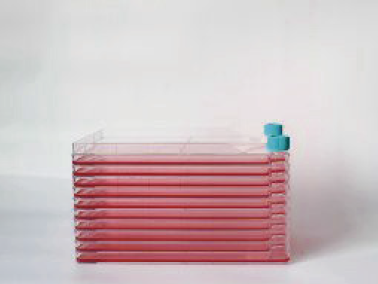 biofactoryFIG5.png