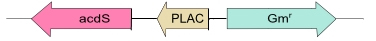 in3-vec101_fig1.jpg