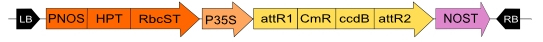 in3-vec17_fig1.jpg