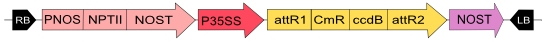 in3-vec2-fig1.jpg