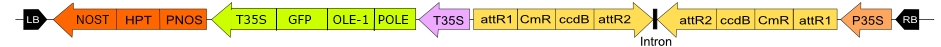 in3-vec33.jpg