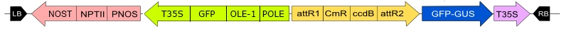 in3-vec34.jpg