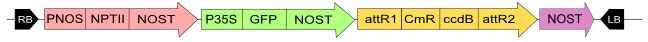 in3-vec4_fig1.jpg