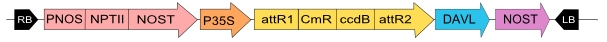 in3-vec7_fig1.jpg