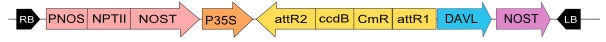 in3-vec8_fig1.jpg