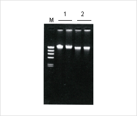 pic_07_pc.png