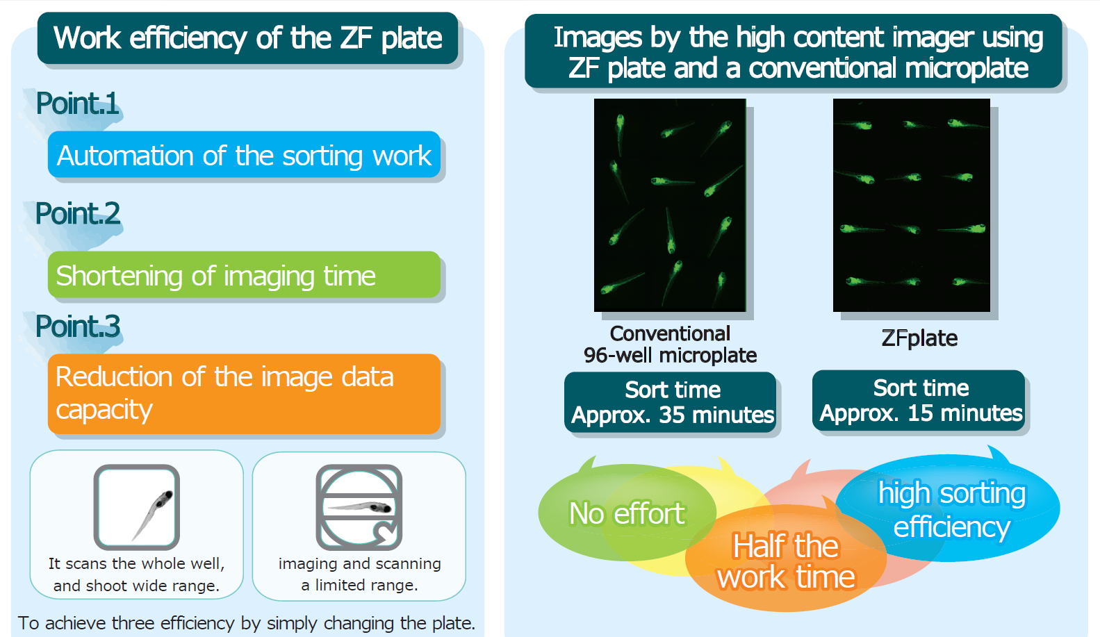 zfplate_1.png