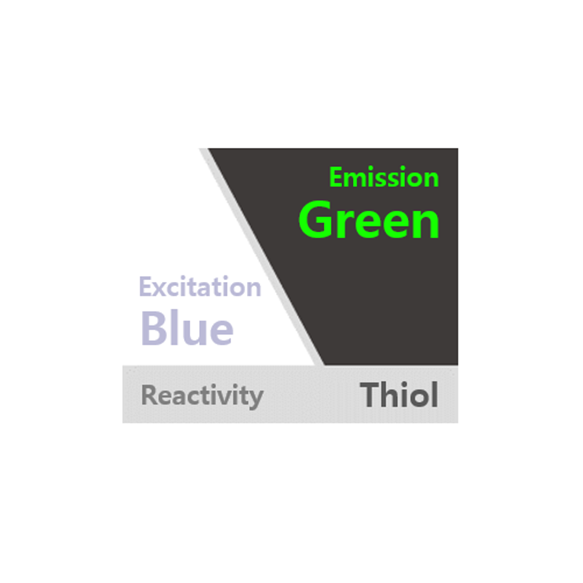 /Content/Upload/Product/20190319090314-F1_1200_4.png