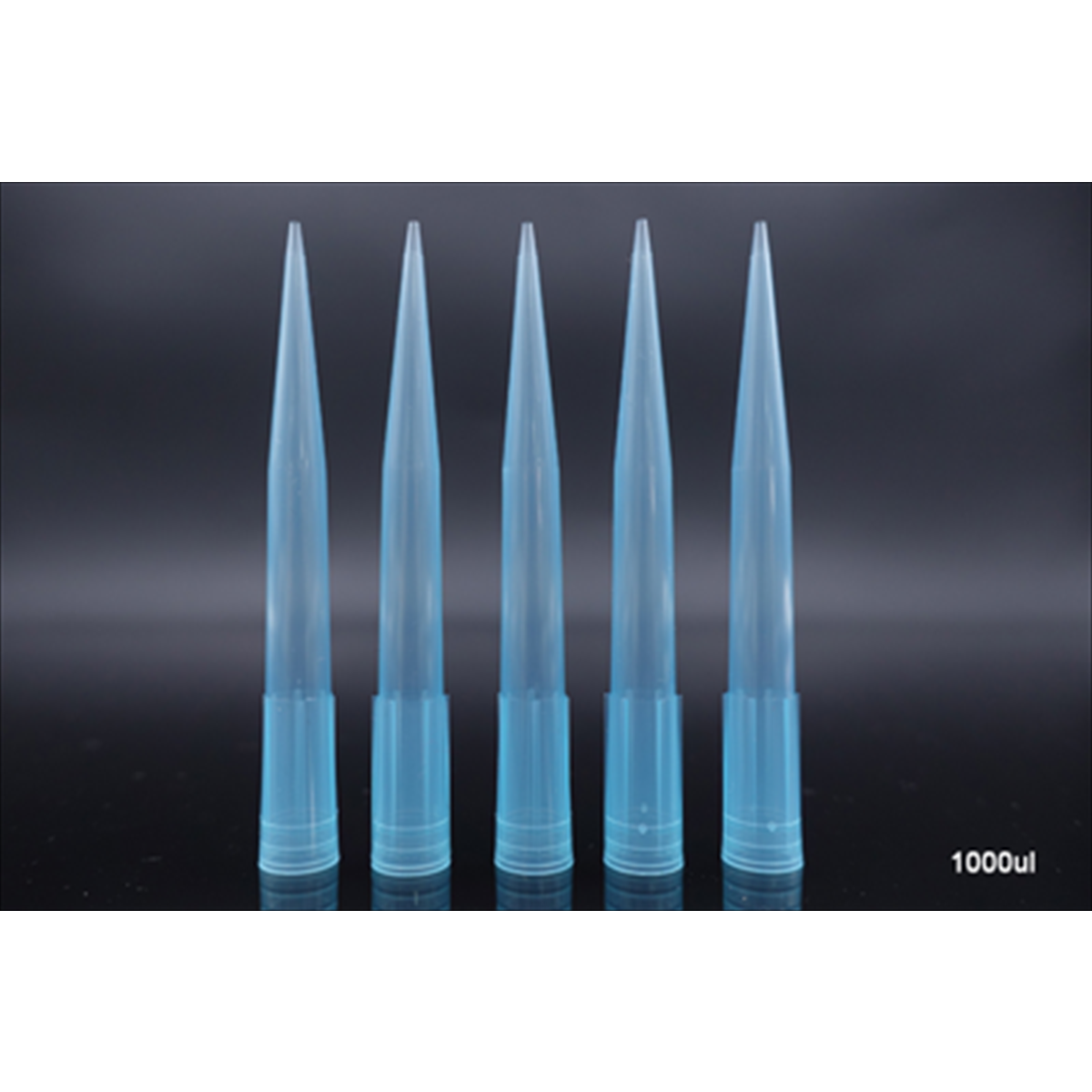 /Content/Upload/Product/303206_1200_1.png