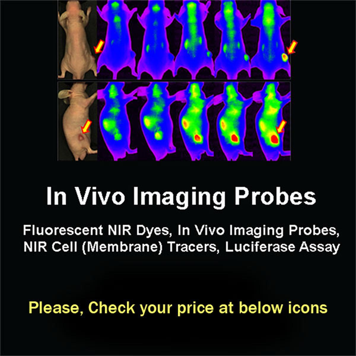 /Content/Upload/Product/5-InVivoImagingProbes_600x600_Diagnocine_1200.jpg